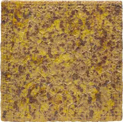 Alan Bee, Animamundi, 1978, metallic net, acrylic and honey on canvas