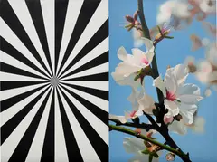 Mustafa Hulusi, Exstacy Almond Blossom 2 (L) 2008, 2008, oil on canvas, in 2 parts