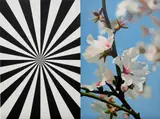 Mustafa Hulusi, Exstacy Almond Blossom 2 (L) 2008, 2008, oil on canvas, in 2 parts