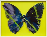 Beautiful Spin Through the Dark Butterfly for Naomi by Damien Hirst, 2011, acrylic on paper, in artist's frame, sold May 2022
