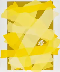 Untitled by Jorge Pardo, 2000, c-print on Fujicolor crystal archive paper, sold May 2022
