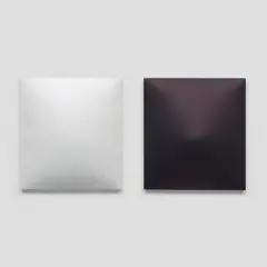 Dean Levin, A Conversation Piece (White & Indigo), 2016, hydrocal and oil on cotton, diptych