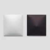 Dean Levin, A Conversation Piece (White & Indigo), 2016, hydrocal and oil on cotton, diptych