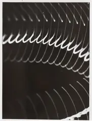 Herbert W. Franke, Untitled (from the Oszillogramme (1954-58) series), 1954-58, oscillogram photograph on paper