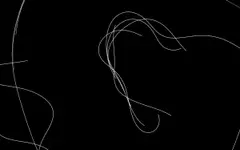 Casey Reas, Path (Software 1), 2001, custom software (black and white, silent)