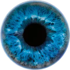 We Share the same Chemistry as the Stars AZ280 by Marc Quinn, 2009, oil on canvas, sold Apr 2021