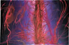 Untitled by Anish Kapoor, 2008, acrylic and gouache on paper, offered Apr 2021