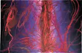 Untitled by Anish Kapoor, 2008, acrylic and gouache on paper, offered Apr 2021
