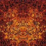 Fire by Damien Hirst, Diasec-mounted Glicée print on aluminium composite panel, sold Apr 2021