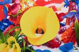 Marc Quinn, Blue Arctic Circle, 2007, oil on canvas
