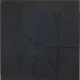 Tom Burr, Drawn to Delirium, 2012, wool blankets and steel tacks on dyed wood