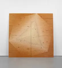 Michael DeLucia, Untitled, 2012, shellac on plywood, in 2 parts