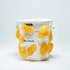 Nancy Lupo, Container, 2016, silicone and fibres on found plastic container