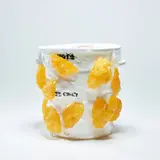 Nancy Lupo, Container, 2016, silicone and fibres on found plastic container