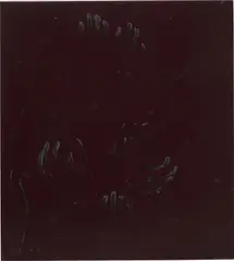 Sebastian Dacey, Untitled, 2010, oil and lacquer on canvas
