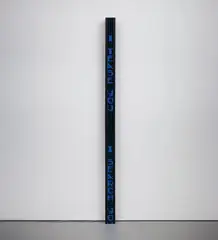 Jenny Holzer, Arno, 1998, vertical electronic LED sign with blue diodes