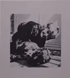 Steven Shearer, Boy with Dog, 2016, ink and acrylic on poly canvas