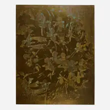 Ross Iannatti, E.C.E. no. 46, screenprint on aluminum