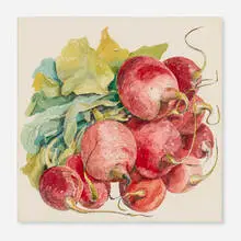 Don Nice, Radishes #2, 1966, watercolor on paper