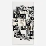 Stephanie Dost, Untitled, photographic collage and charcoal on painted MDF