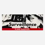 Barbara Kruger, Surveillance is Your Busywork, 1983, lithograph in colors