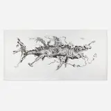 Mark Licari, Large Shark, 2001, ink and watercolor on paper