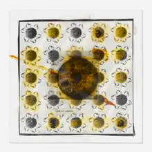 Doug and Mike Starn, Size of Earth, 1997, ink and collage on acetate, acrylic