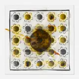 Doug and Mike Starn, Size of Earth, 1997, ink and collage on acetate, acrylic