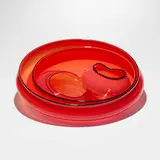 Dale Chihuly, Basket group