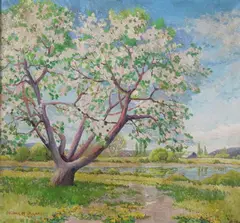 Hilma Payne, Cherry Blossom Tree, Oil on canvas