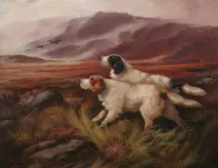 Two Pointers by Robert Cleminson, Oil on canvas, sold Apr 2008