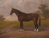 William Albert Clark, Prize Horse, Oil on canvas