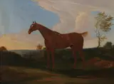 Untitled by English School, CHESTNUT STALLION IN LANDSCAPE, oil on canvas, sold Apr 2008