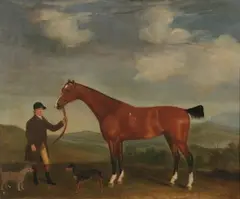 Francis Sartorius, Untitled, GROOM WITH BAY HUNTER, oil on canvas
