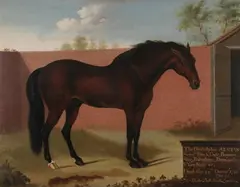 Thomas Butler, The Godolphin Arabian, Oil on canvas