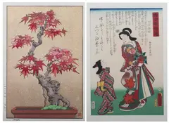 Tsukasa Yoshida, Maple, Together with a woodblock print after Toyokuni III (1786-1864)