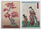 Tsukasa Yoshida, Maple, Together with a woodblock print after Toyokuni III (1786-1864)