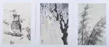 Eiichi Kotozuka, Drooping Cherry Blossoms, Original woodblock print, signed