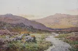 Arthur Suker, Shepherd in the Highlands, Watercolor on paper.