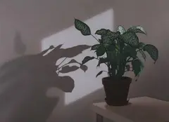 Ronald Bowen, Interior with Plant, Oil on canvas