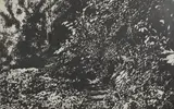 Norman Ackroyd, Untitled