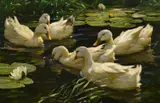 Alexander Koester, Enten im Seerosenteich, Öl auf Leinwand