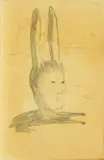 Sandra Vásquez de la Horra, Conejo Japones