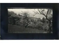 Ohne Titel (Prager Burg) by Josef Sudek, Vintage. Gelatinesilberabzug, sold Nov 2018