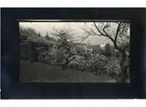 Josef Sudek, Ohne Titel (Prager Burg)