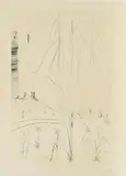 Ankunft in Cornwall by Salvador Dalí, 1970, Farbradierung auf BFK RIVES (Wasserzeichen), sold Jan 2020