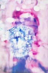 Marilyn Minter, Big Mac, 2014, c-print