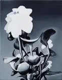 Tomoo Gokita, Eichhornia Crassipes