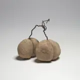 Seung-taek Lee, Tied Stone, 1972, stone and wire