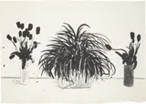 David Hockney, Two Vases of Cut Flowers and a Liriope Plant (Gemini G.E.L. 915; M.C.A.T. 232), 1979-81, Lithograph, on Japanese Toyoshi 80 paper, the full sheet